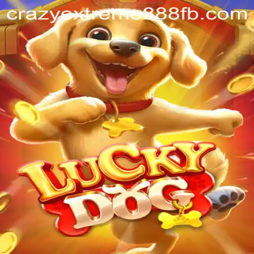 Exploring 'LuckyDog: Crazy Extreme 888' - A Journey Into the World of Gaming